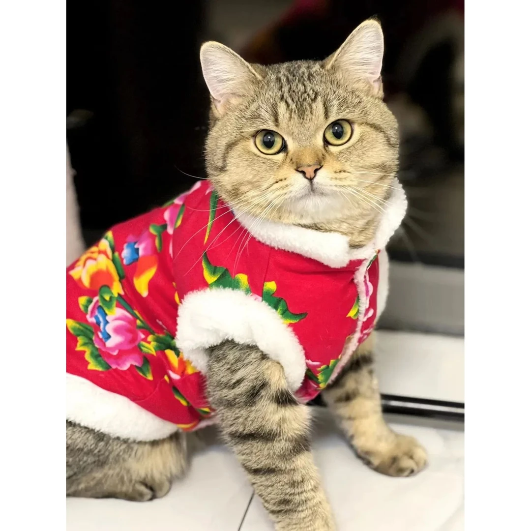 狗狗衣服东北大花新年过年棉衣泰迪比熊博美猫咪秋冬装加绒防掉毛