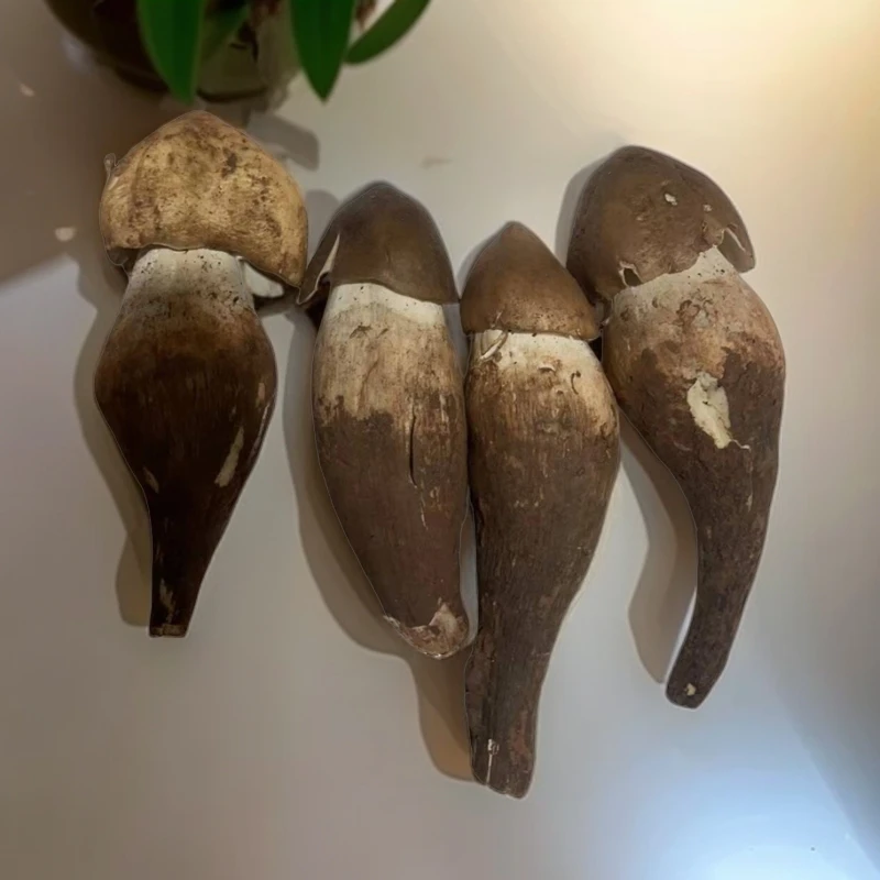 西西妹野生鸡枞菌