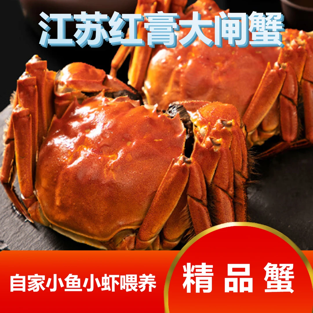 【活蟹】兴化红膏大闸蟹 全母3.1-2.8两 8只/10只  顺丰鲜达