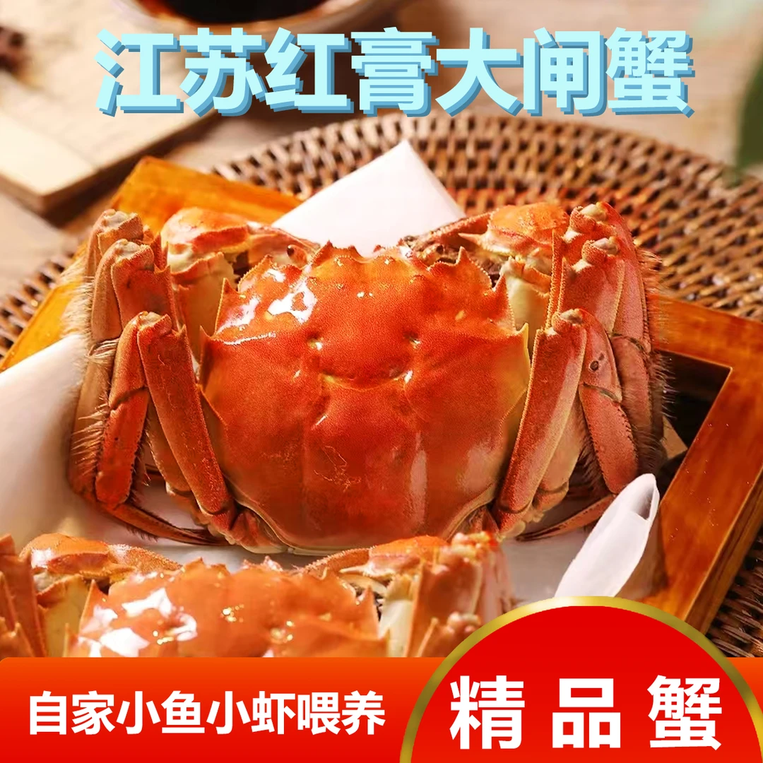 【活蟹】兴化红膏大闸蟹 全母3.6-3.3两 8只/10只 顺丰鲜达