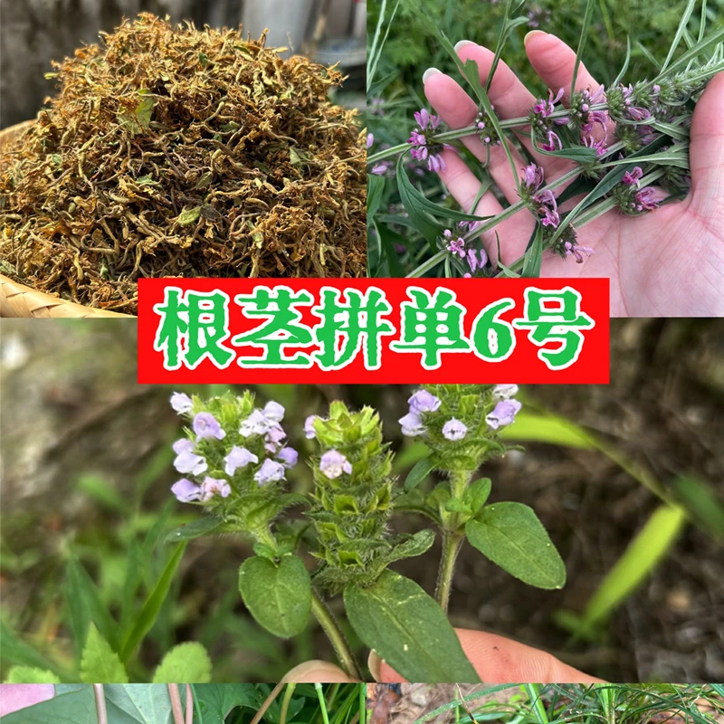 江西赣南根茎菜蔬菜搭配250g~2500g