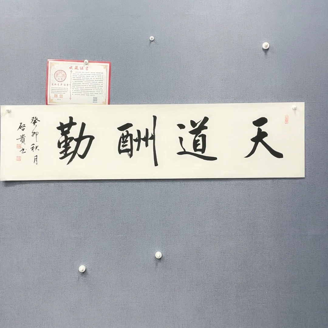 【闪购商品】书法z