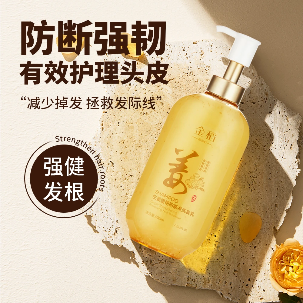 金稻 生姜强韧防断发洗发乳
