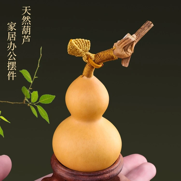 聊东昌欣欣葫芦直播专属链