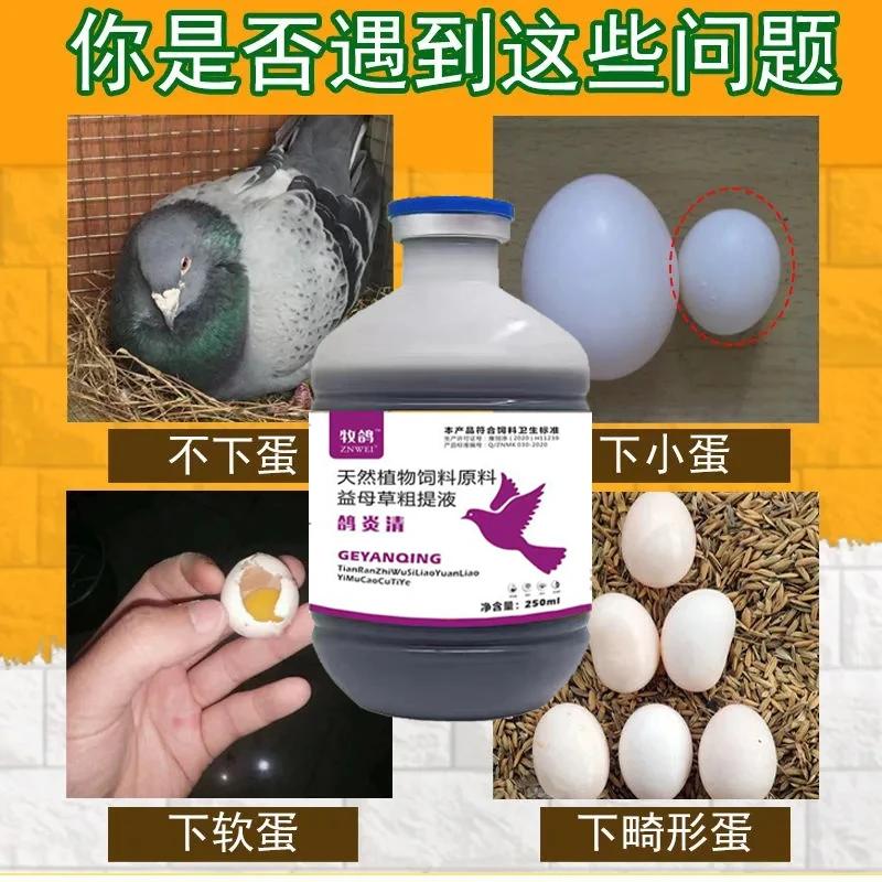牧鸽2鸽炎清 消化不良 无精蛋 沙壳蛋
