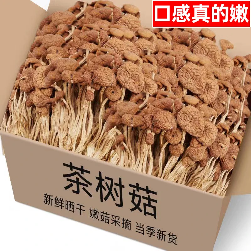 【清仓中】古田茶树菇农家新货香菇干货特产茶新菌菇虫草煲汤批发