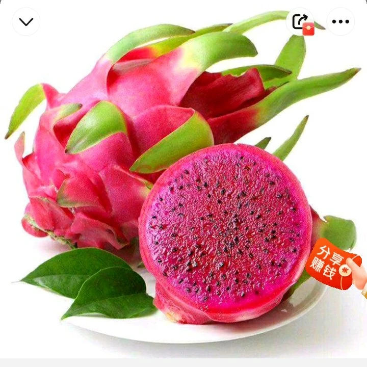 越南红心火龙果一个