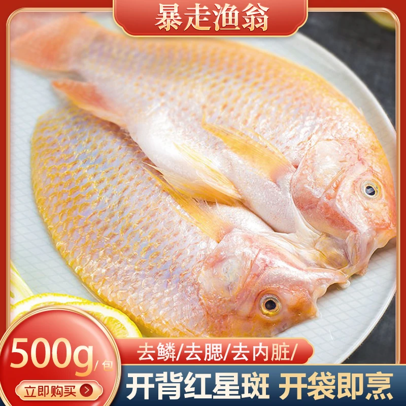 新鲜红星斑开背去内脏450-500g/条 红鲷鱼半成品商用连云港发货