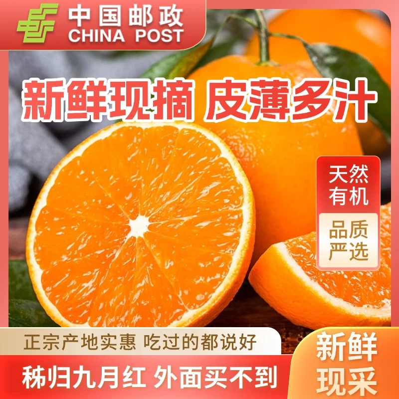 【邮政农品专属】2024湖北秭归九月红脐橙当季新鲜水果