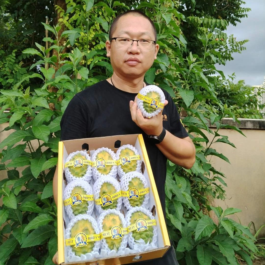 【阿宇粉丝专享】海南燕窝果3.2-3.5斤礼盒装/土豪水果不再豪