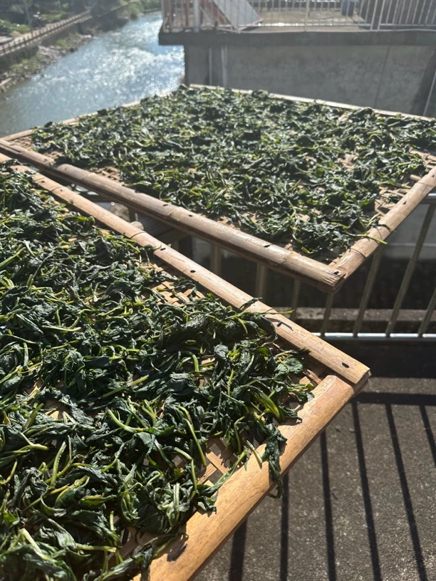 苦斋婆菜干建瓯特产福建特产干货苦菜干建瓯干货农产品