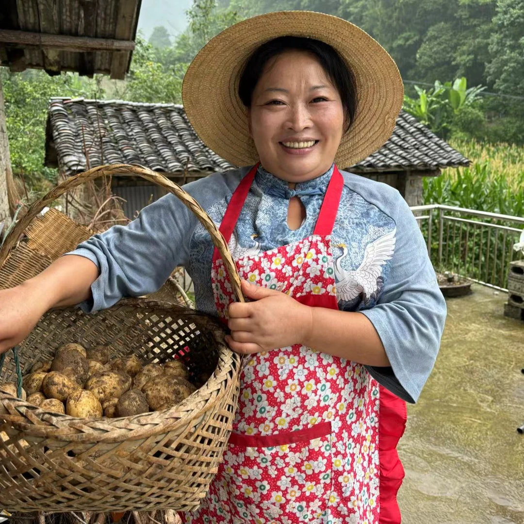 【正宗恩施马尔科洋芋】高山黄心现挖土豆