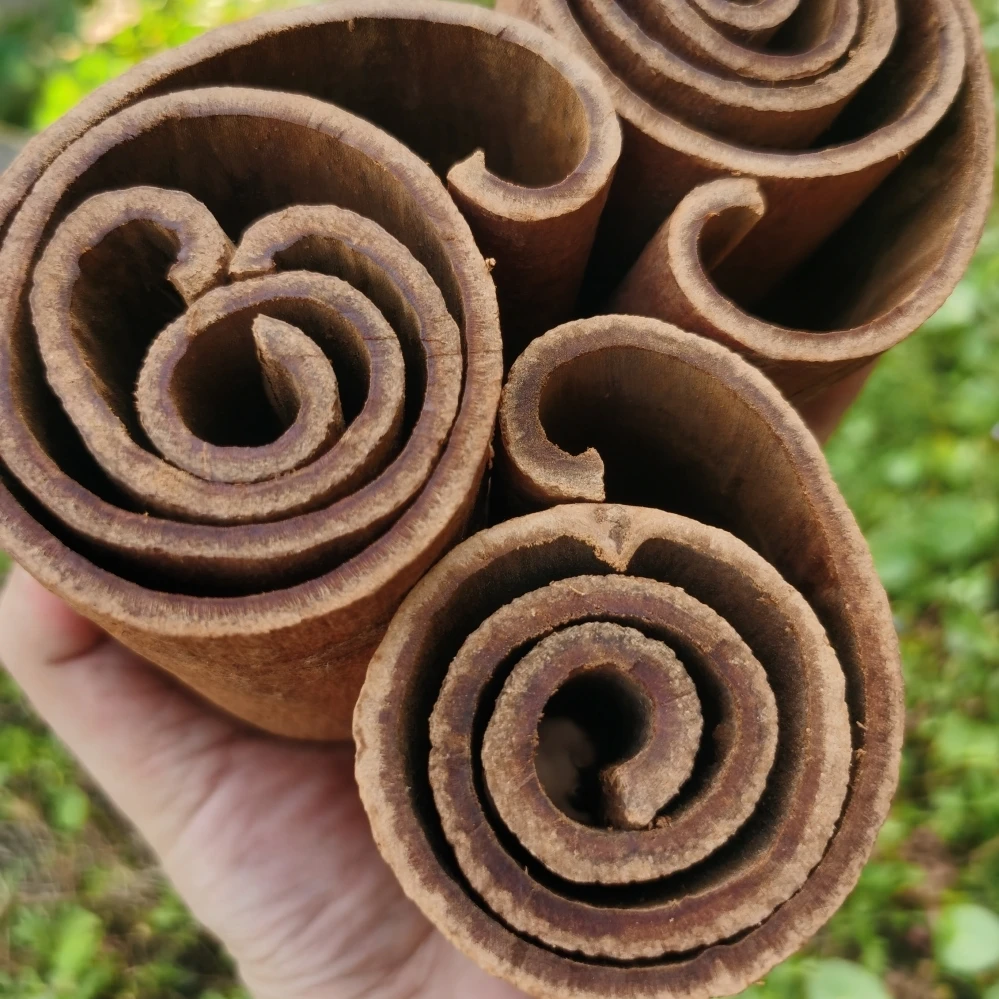 广西高山油桂无硫产地直供老树桂皮肉桂去皮精选高品质香料