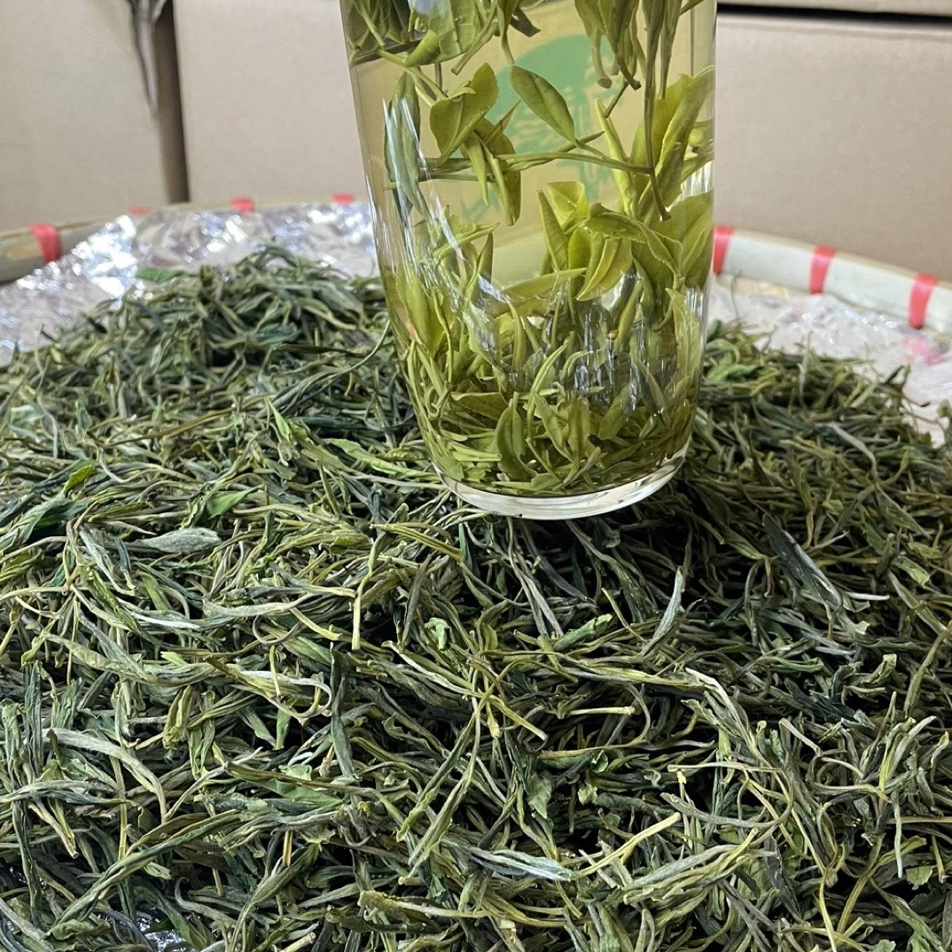 2024新茶正宗黄山野茶毛峰鲜爽回甘