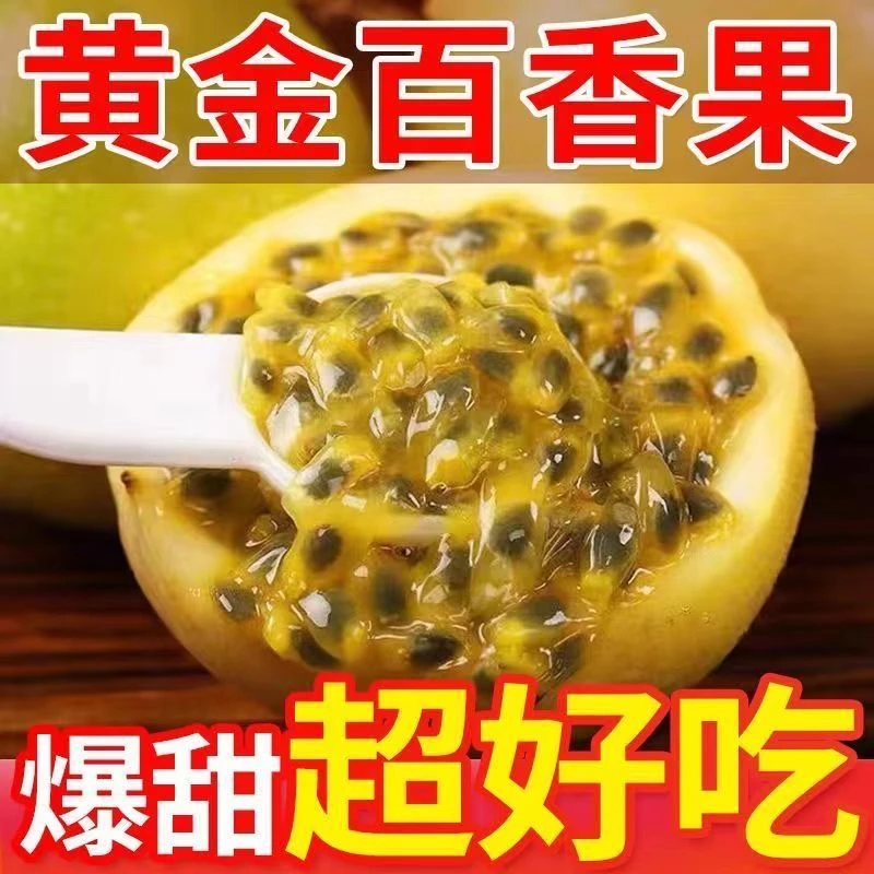 钦蜜9号黄金百香果原产地生态鲜甜营养口感香甜多汁天然新鲜采摘