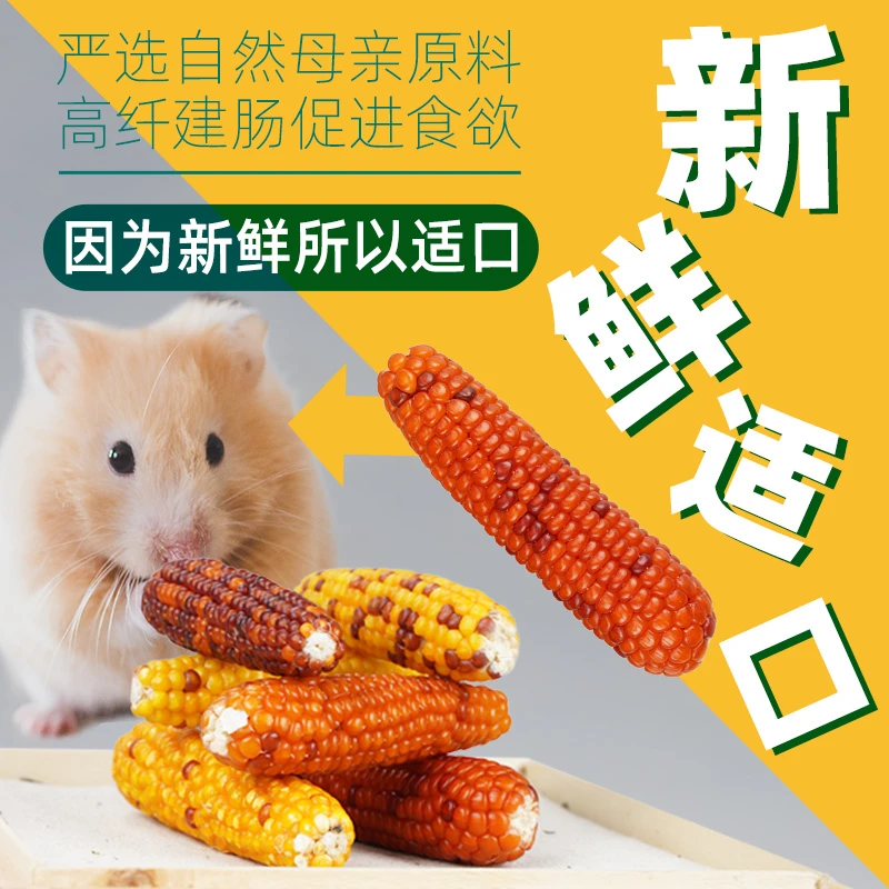 仓鼠零食磨牙棒营养粗粮小玉米棒金丝熊辅粮造景用品通心粉玩具