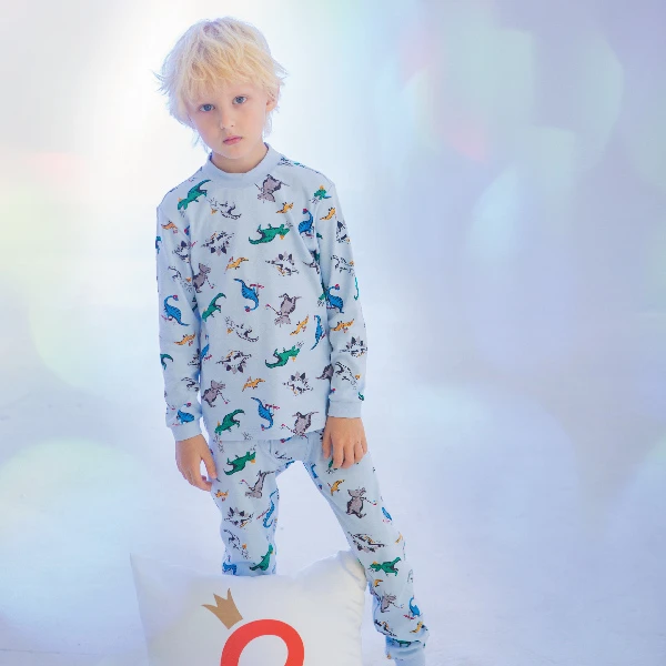 KD270013小童男童棉印花套装棉打底秋衣套装