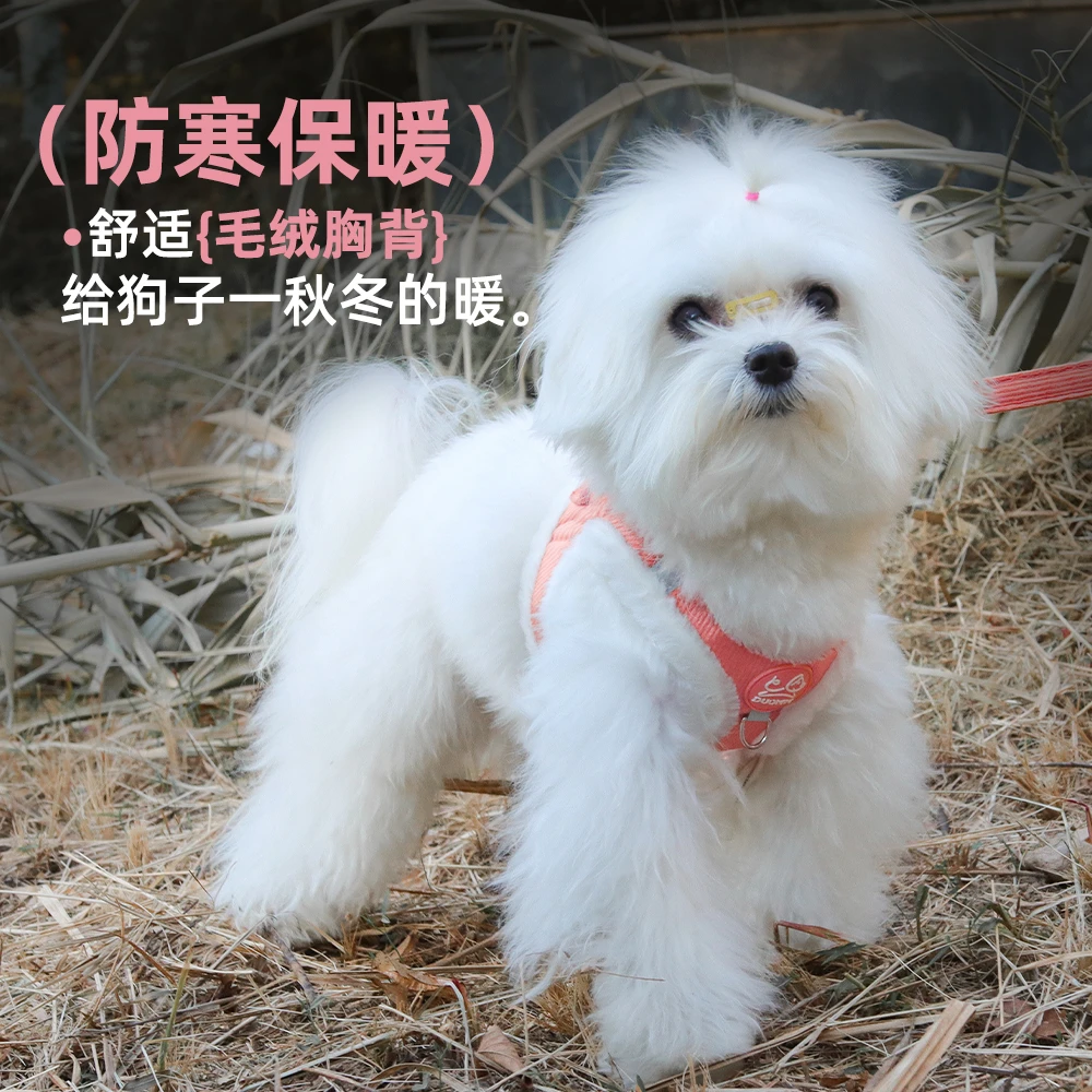 朵猫猫保暖狗狗牵引绳防挣脱外出专用遛狗绳狗狗通用胸背带胸背式