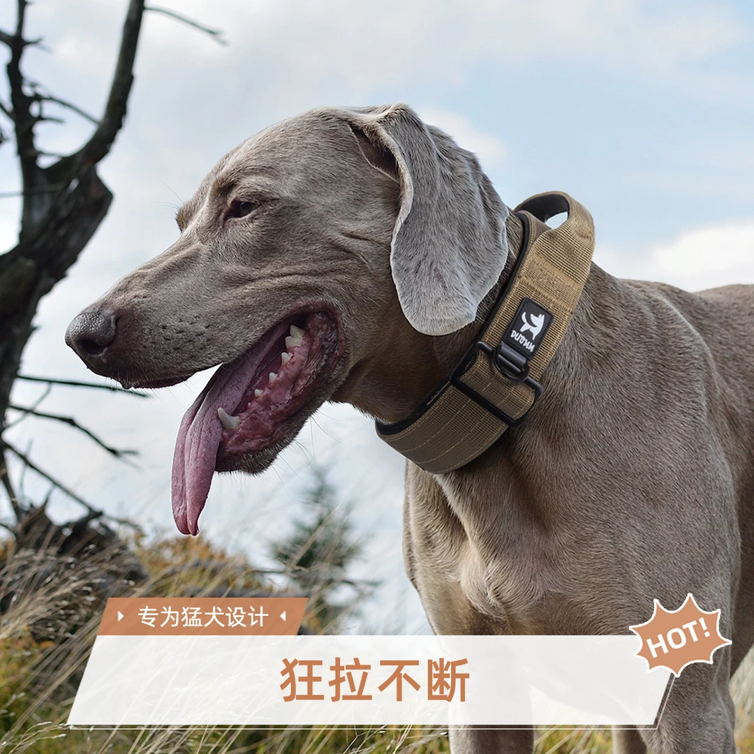 朵猫猫战术高档大型犬杜宾柔软防爆冲户外可调颈圈项圈结实不勒脖