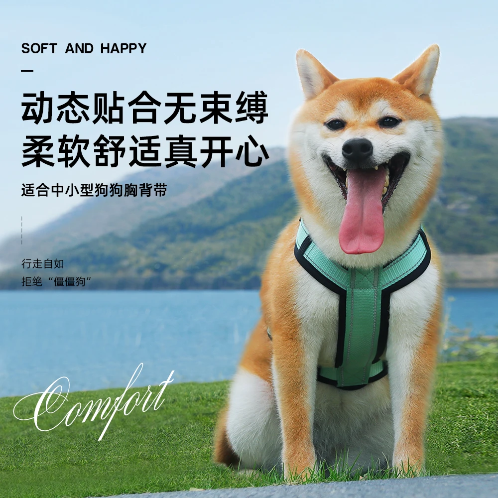 朵猫猫牵引绳防挣脱胸背带胸背反光宠物牵引绳中小型犬宠物胸背带
