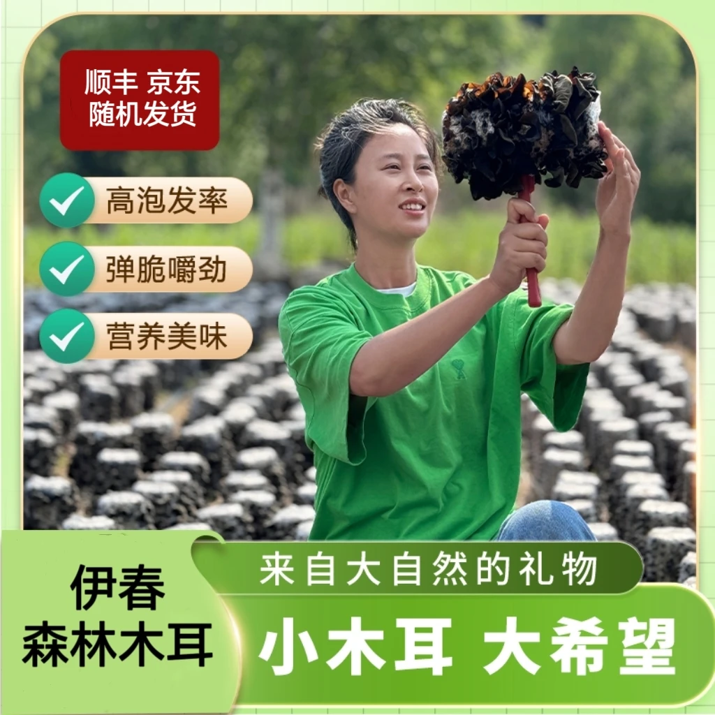 王北四的木耳 伊春木耳原本自然东北特产头茬木耳250g/包