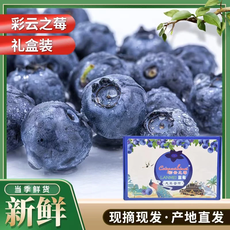 彩云之莓Max花香脆甜蓝莓2斤精品礼盒装18mm接近纯甜浓郁花香口感