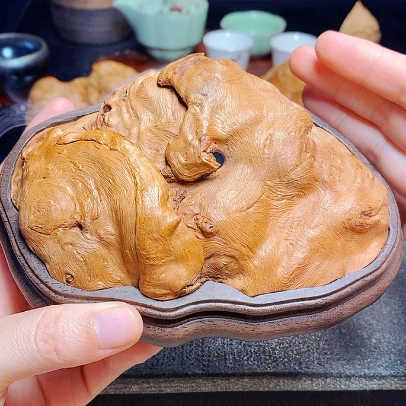 【闪购商品】荔枝木其他