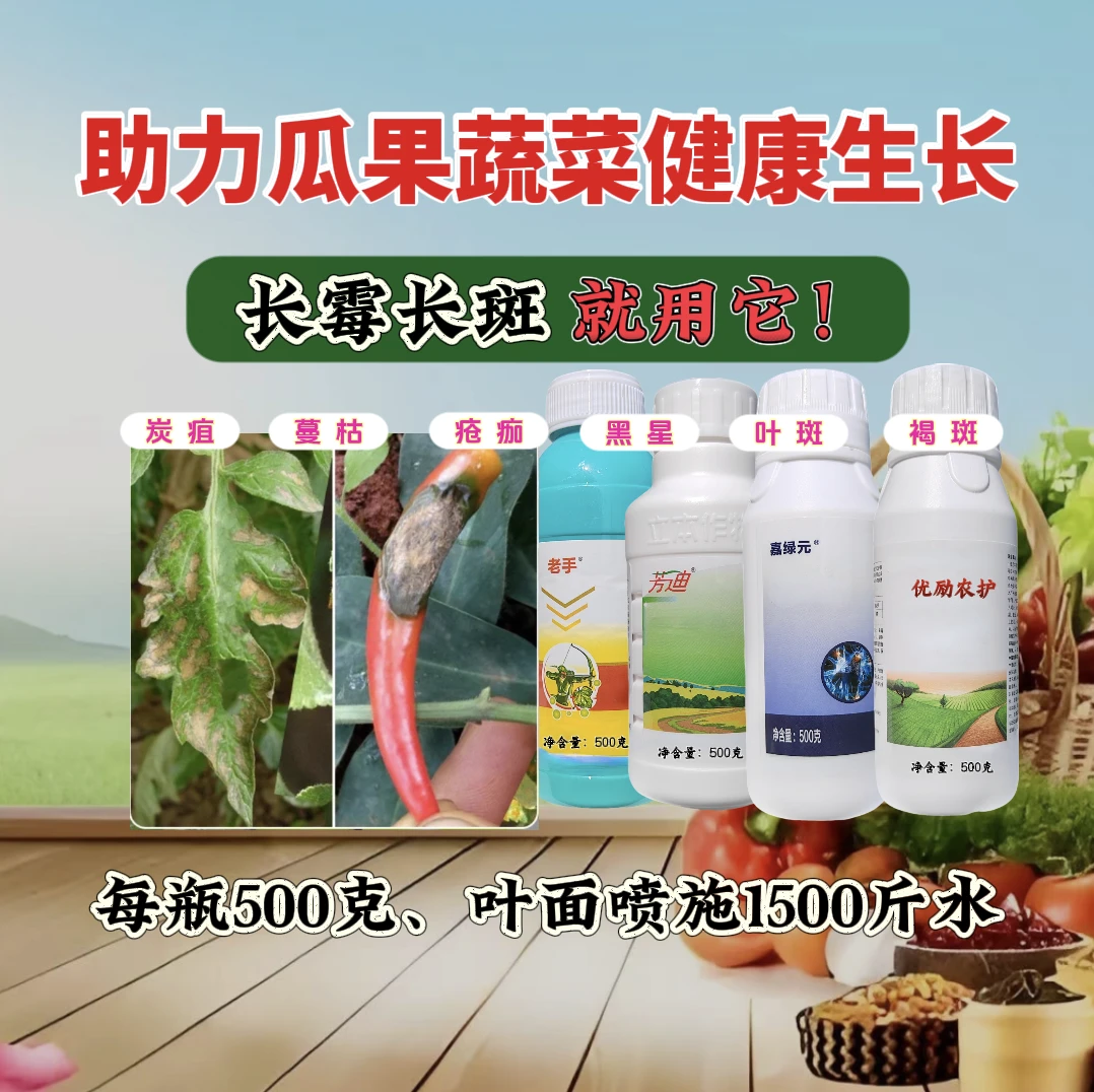 瓜果蔬菜农作物炭疽叶斑长霉长斑助力健康生长增产肥料