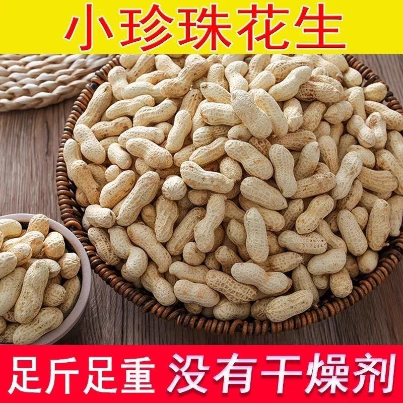 人工精选24年新花生带壳，精选小珍珠薄壳花生