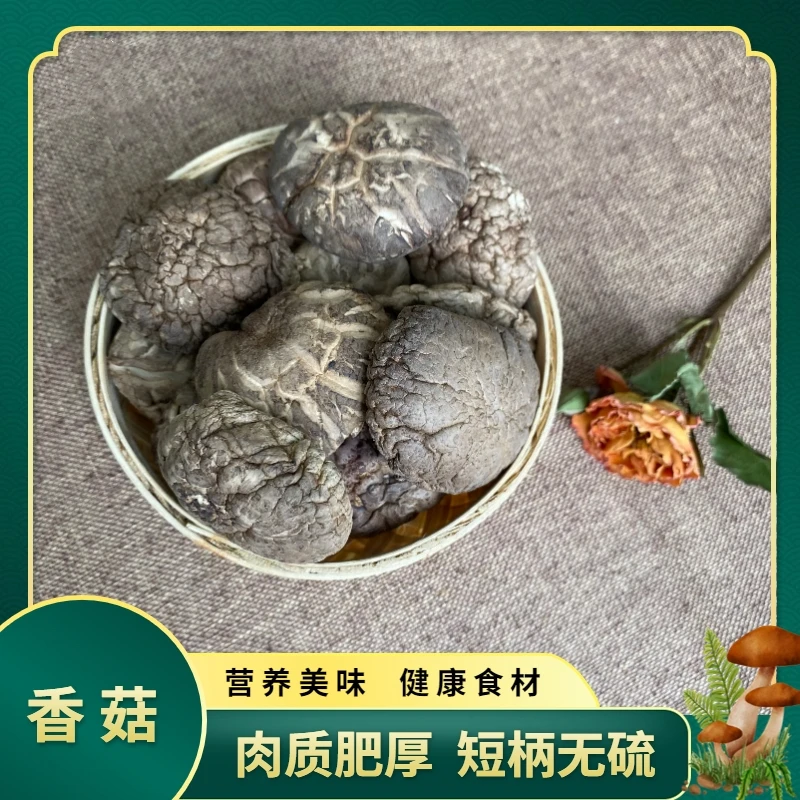 精选当季新货香菇  烹饪食材  山珍蘑菇 50g