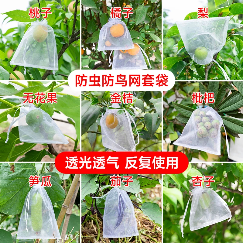 水果套袋网袋袋葡萄番茄无花果枇杷透气网套尼龙果树防虫防鸟袋
