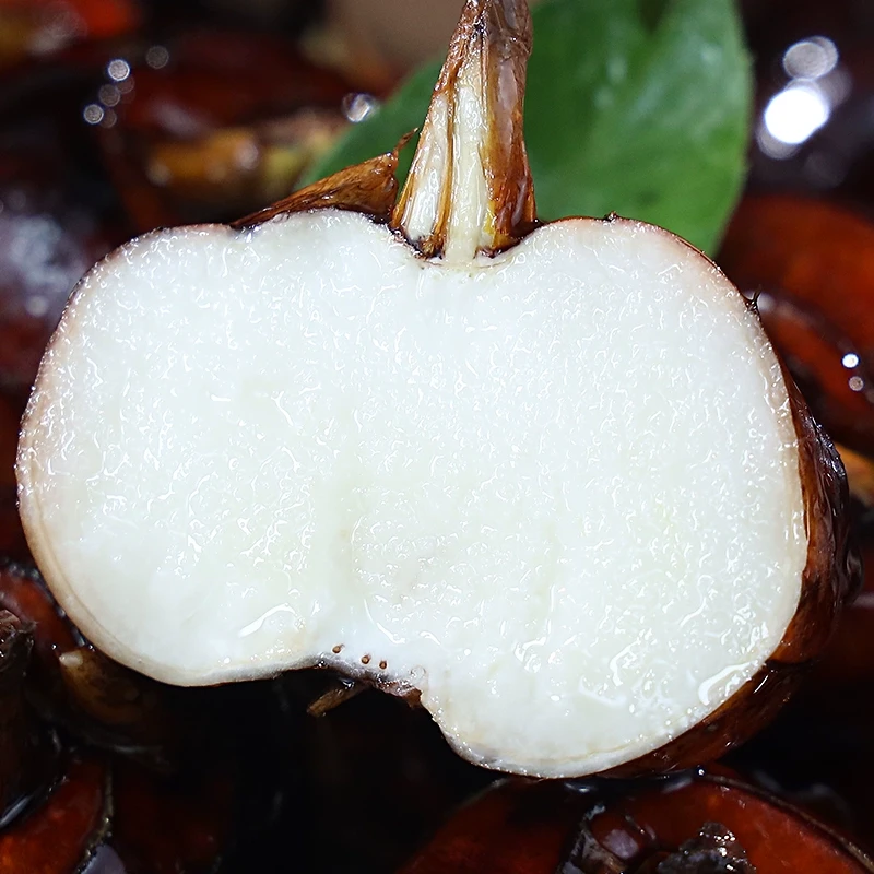 广东乐昌北乡黄坌村马蹄现挖中果15-20个左右一斤（9斤装顺丰包邮）