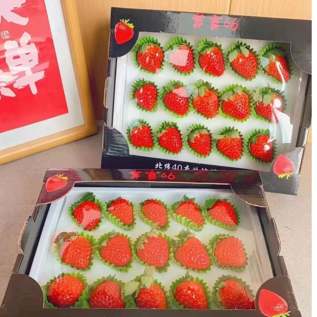 九九牛奶草莓一盒9-15枚