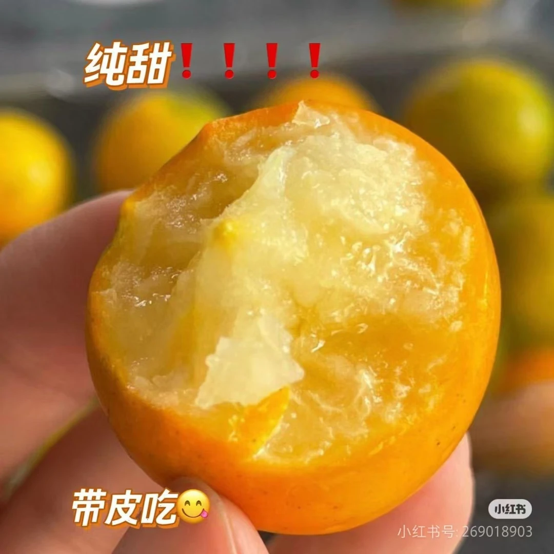 四川白富美糖丸金桔一箱2斤左右