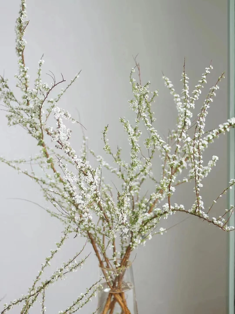 【雪柳】鲜枝 云南 鲜花 生鲜发货无法拒收