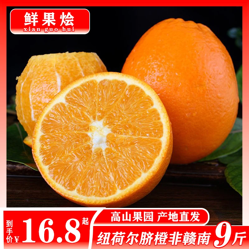 【正宗】湖南纽荷尔脐橙产地发货天然水果橙味酸甜甜橙新鲜香甜现摘