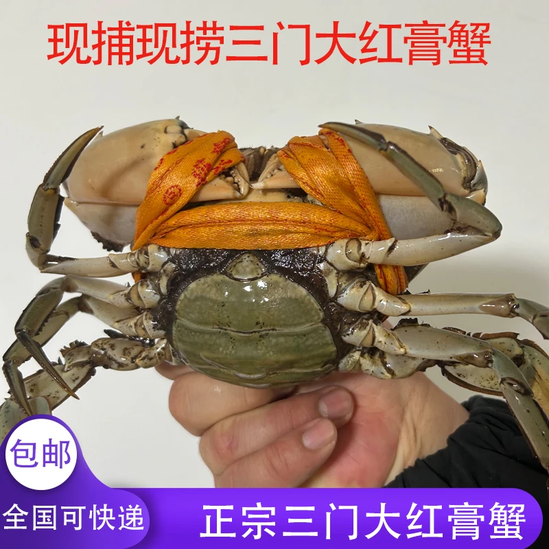 【2号改价链接】，三门青蟹红膏蟹膏蟹公蟹