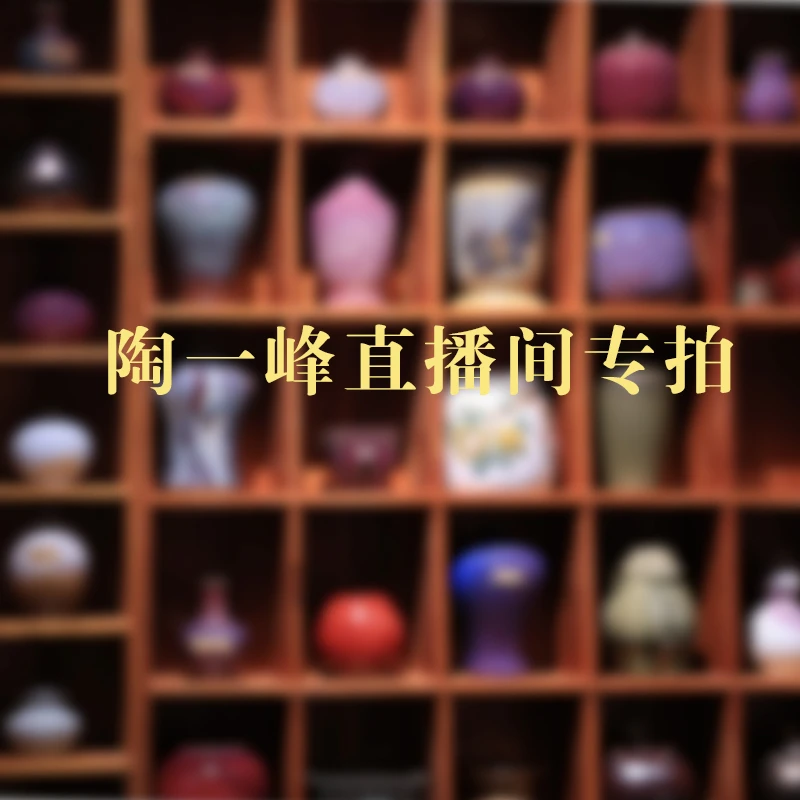 陶一峰花盆直播间瑕疵花盆专属链接 不设退换 慎拍