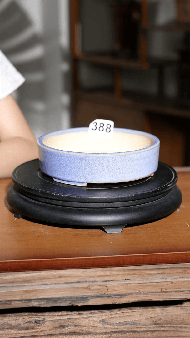 【闪购商品】红陶20CM以下388