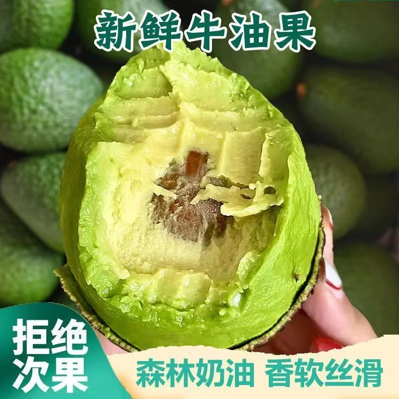 正宗云南普洱孟连牛油果哈斯Hass孟连县发货假冒必赔主打真实