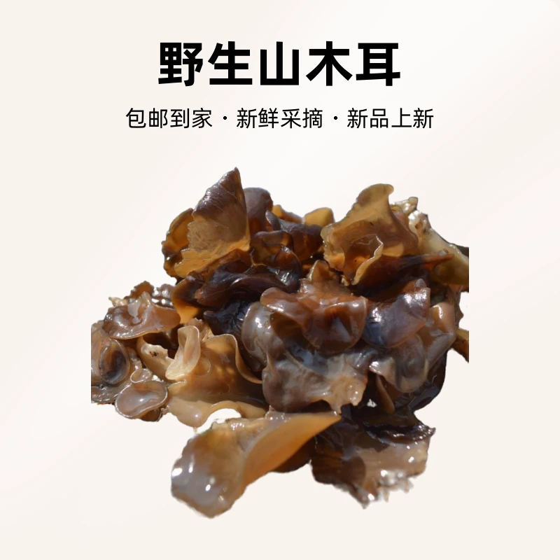 野生山木耳250克包邮