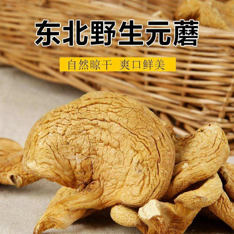 野生元蘑（鲜美冻蘑）一斤包邮自然晾干