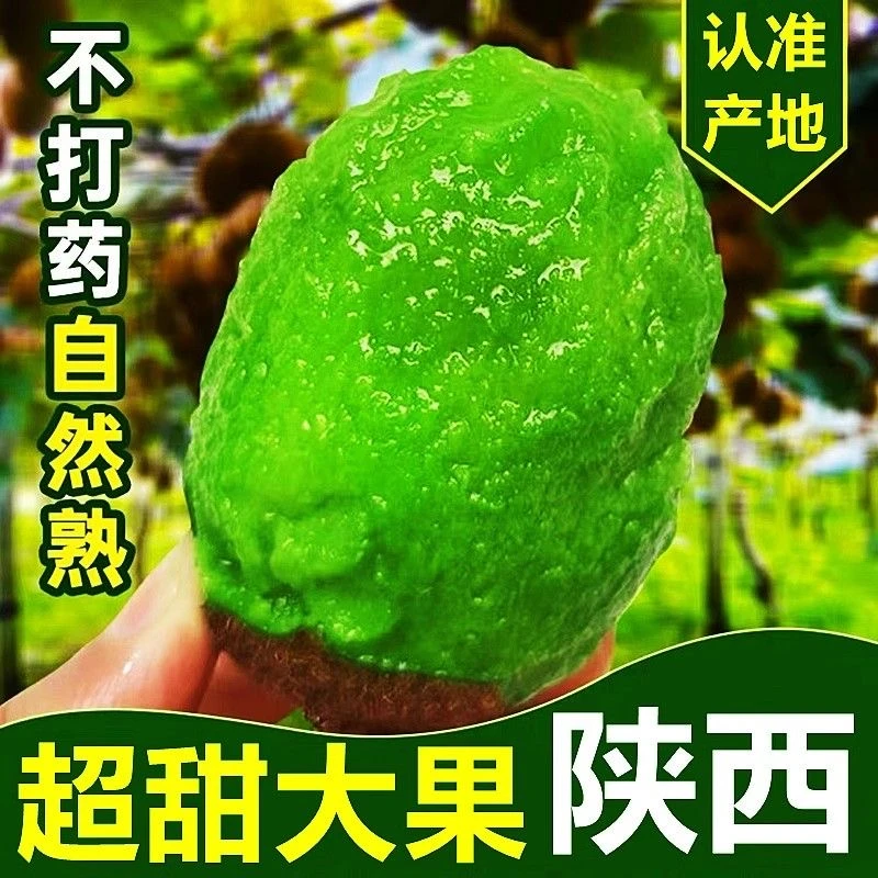 【不甜包赔】正宗陕西周至翠香猕猴桃当季新鲜孕妇水果绿心奇异果