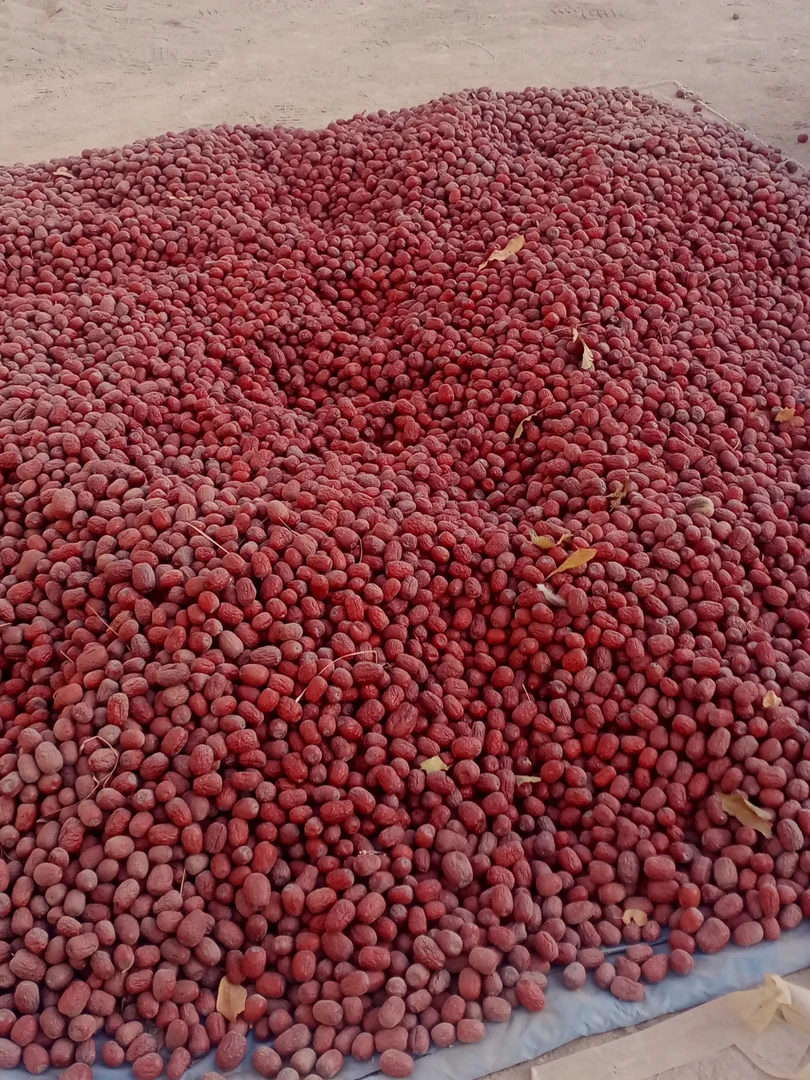 新疆灰枣原产地直发无加工天然美味