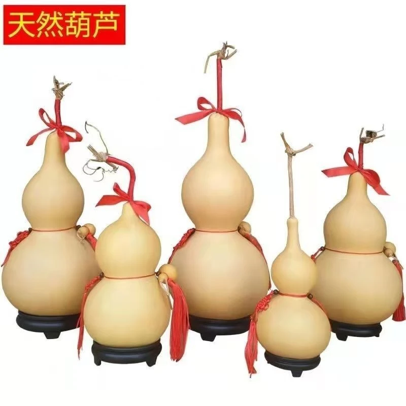 天然大葫芦带龙头摆件特大天然巨型大号摆件葫芦文玩家居福禄葫芦