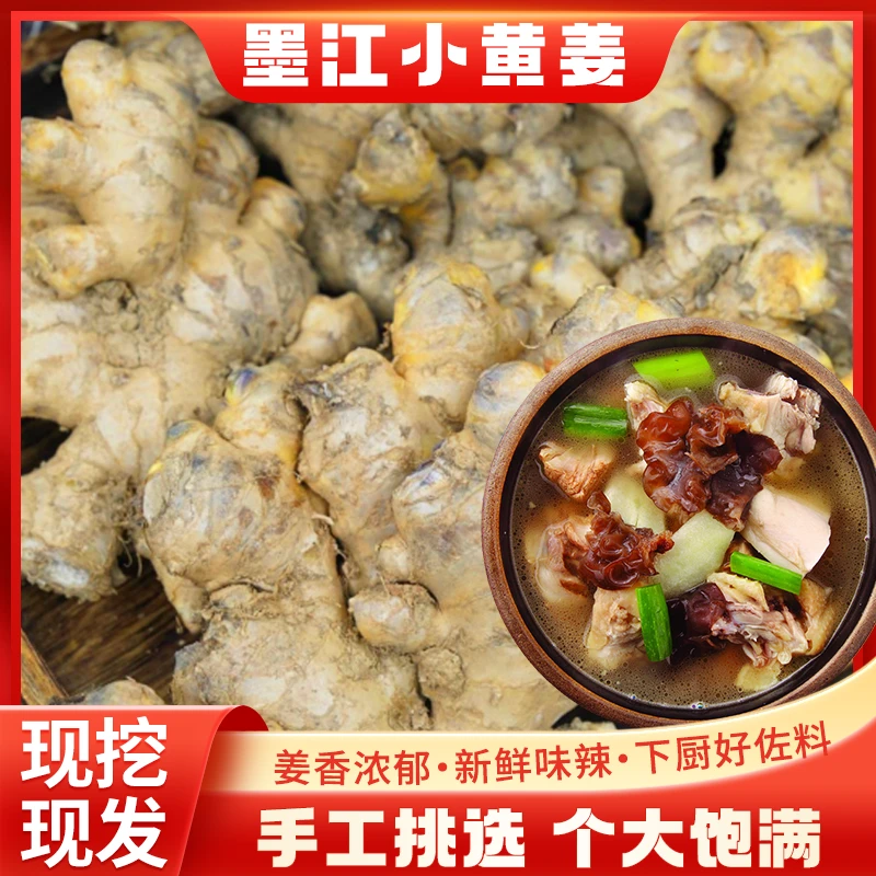 墨江小黄姜3斤/5斤高山小黄姜生姜老姜调味品产地直发