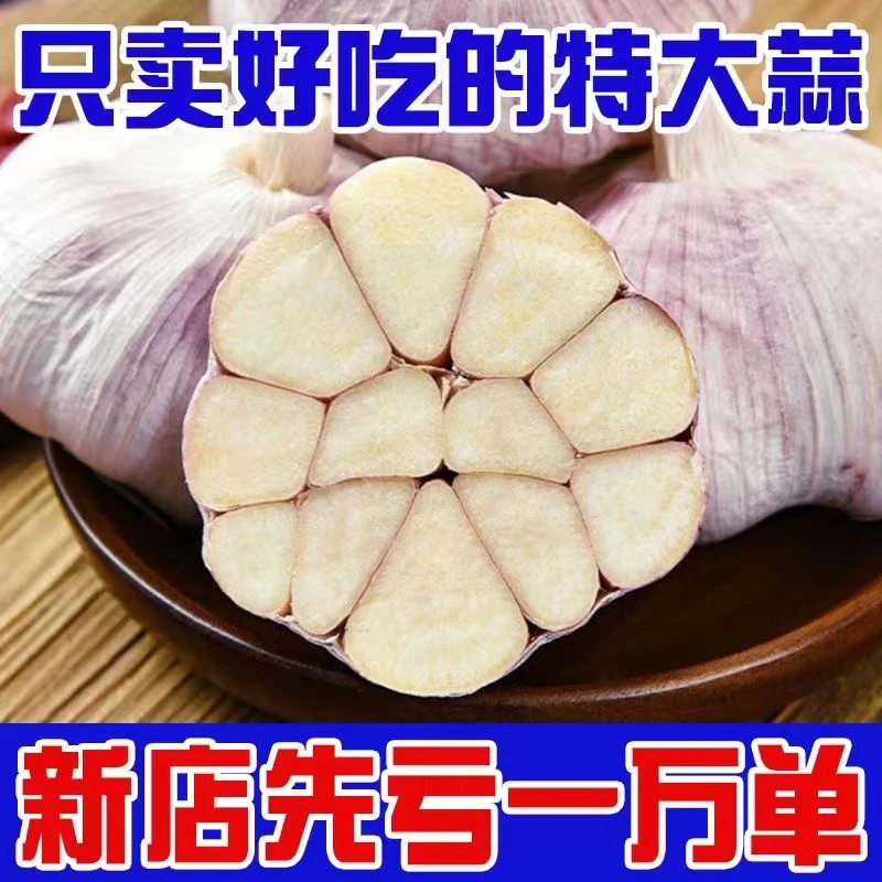 【首单直降】金乡大蒜2023年紫皮大蒜头新干蒜新鲜红皮优质蒜精选