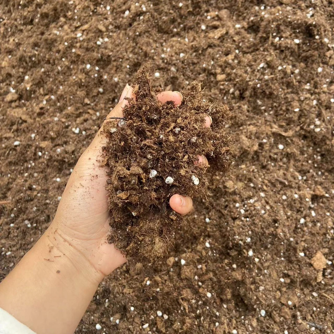 带四个盆 四盆营养土到手直接换盆 园艺扦插