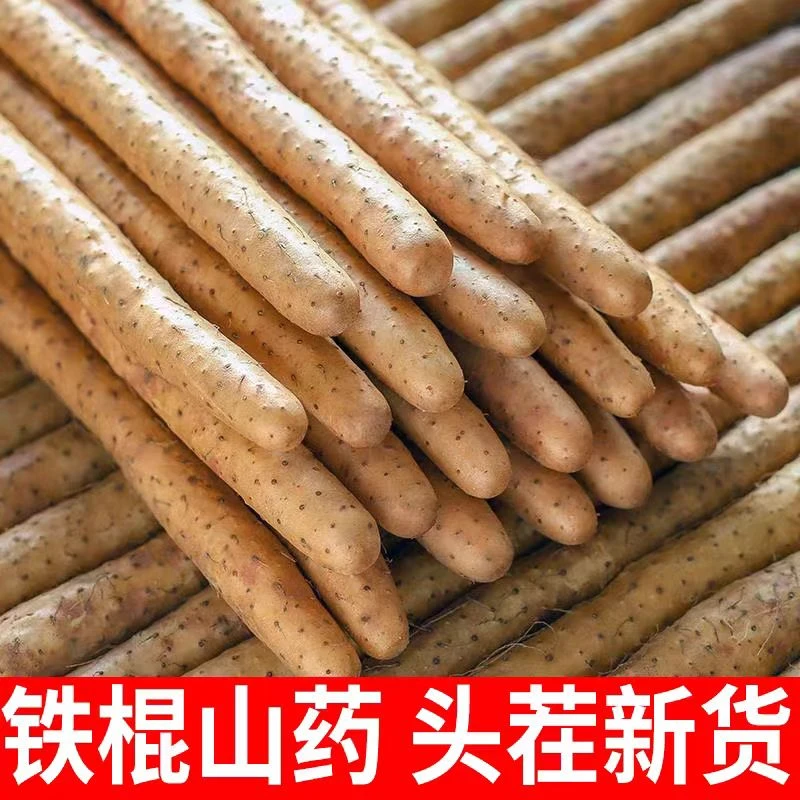铁棍山药新鲜蔬菜软糯现挖现发绿色农家种植净重5斤50-60长