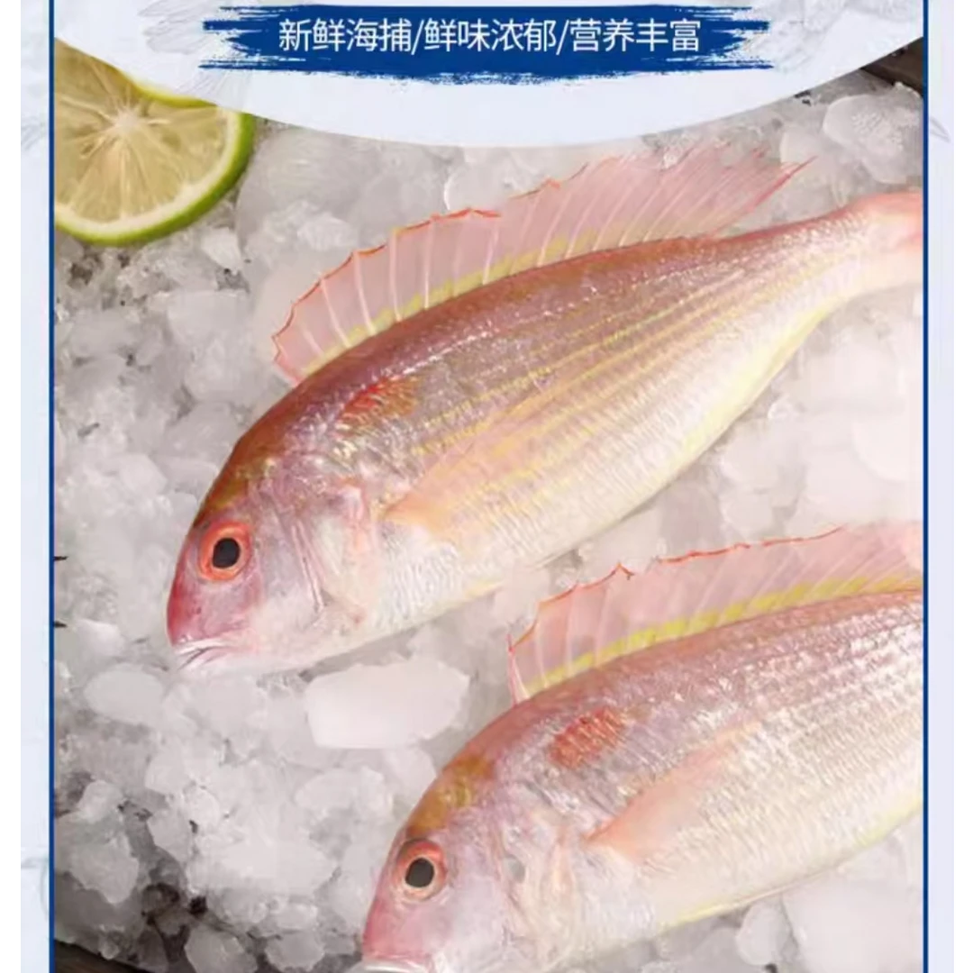 广东博贺渔港海鲜水产新鲜海鱼【一斤4-6条，到手4斤】